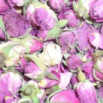 Rose Damascena (Boutons ou Pétales)