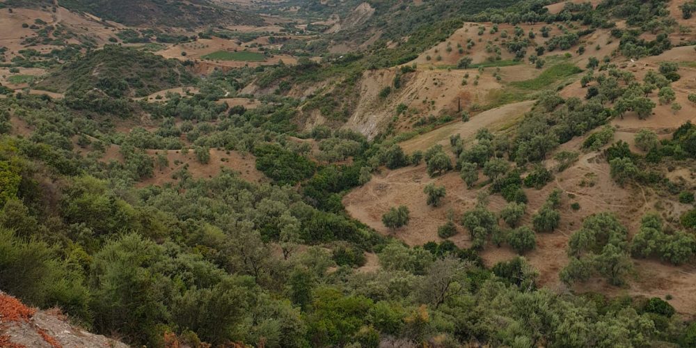 Site de production Za'atar